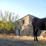 Ethia1