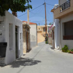 Galipe2