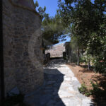Panaya2