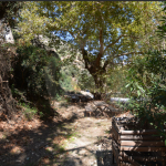 Zrzut ekranu 2026-02-03 132959