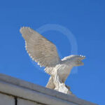bird1