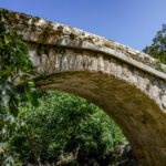 featured-image (2)