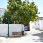 galipe1