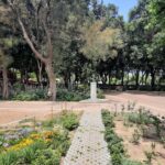 gallery-1