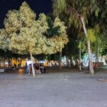gallery-1