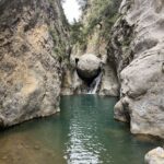 gallery-1