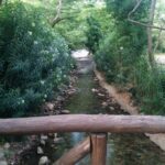 gallery-3