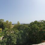 gallery-3