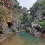 gallery-3