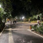 gallery-4