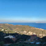 rogdia