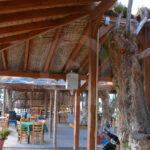 sioia5