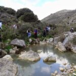 agia4