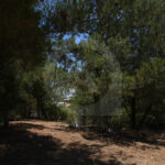 ethia2
