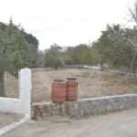 farsaro3
