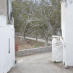 farsaro4
