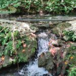 gallery-1