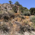 gallery-1
