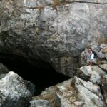 gallery-1