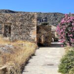 gallery-2 (2)