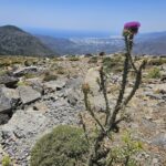 gallery-2 (6)