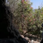 gallery-3