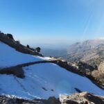 gallery-3 (2)