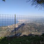 gallery-3 (3)