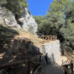 gallery-3