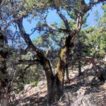 gallery-4
