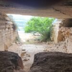gallery-4