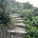 gallery-4