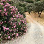 gallery-4