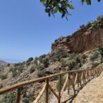gallery-4