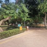 gallery-4