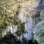 gallery-4