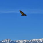 gallery-4