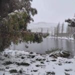 gallery-5