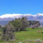 gallery-5 (2)
