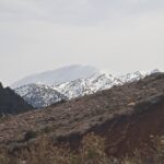 gallery-5 (3)