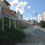 petras4