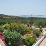 thalassa3