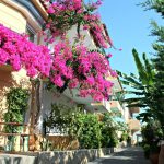 Minoica Beach Apartments1