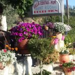 Villa Costas - Popi7