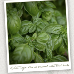 Bildschirmfoto 2025-11-05 um 10.37.14