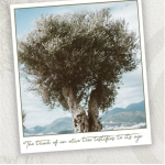 Bildschirmfoto 2025-11-05 um 10.37.33