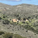 Kletterverein.jpgbild6