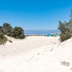 chrissi_island_2-1536x1024