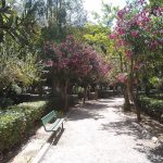 img-20190709-113855-largejpg