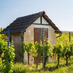 A closeup shot of a small house on the green field